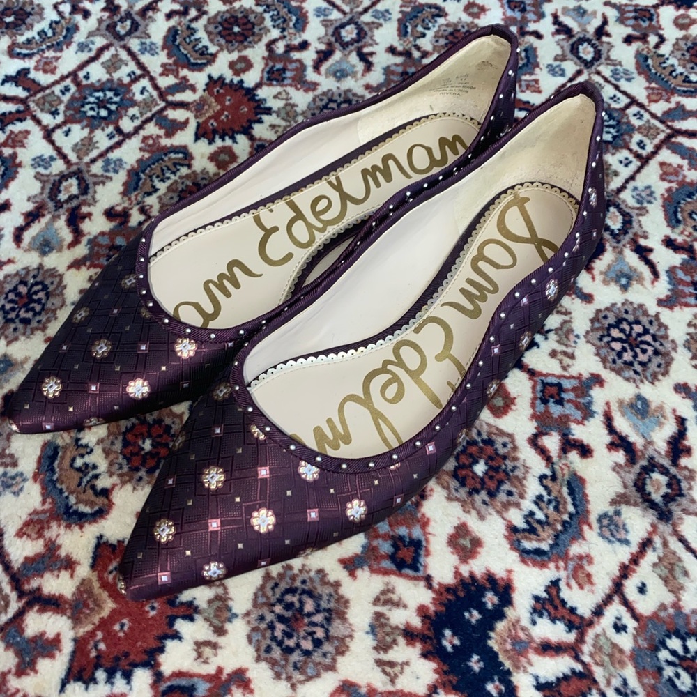 Sam Edelman Rivera Flat Pointy Toe Wine Flats